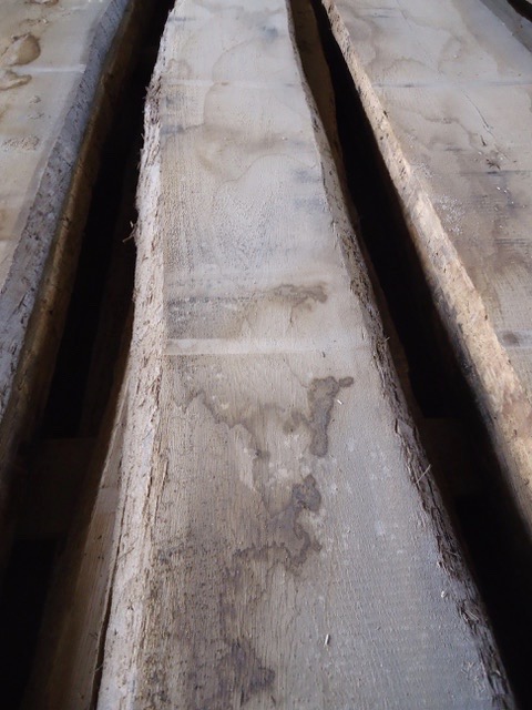 European White Oak unedged, 40mm / B-grade