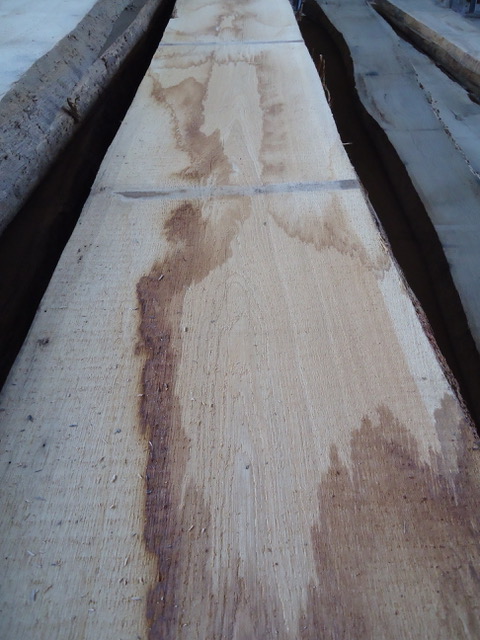 European White Oak, unedged, B Grade