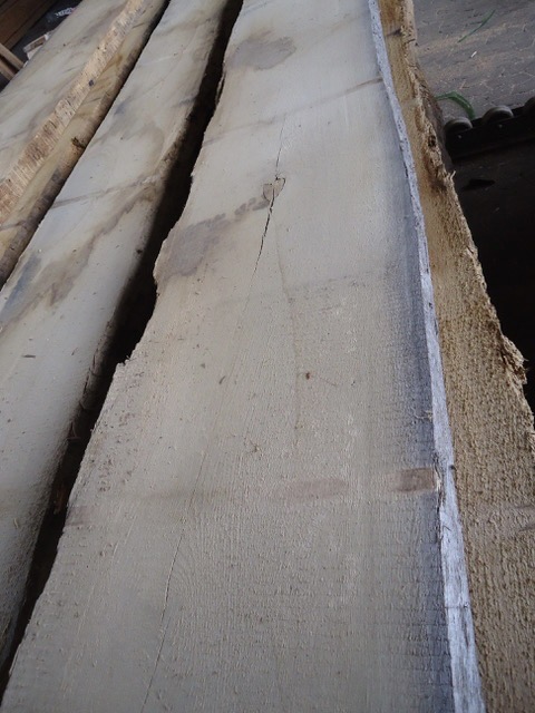European Ash, unedged, KD, 52mm A/B-grade